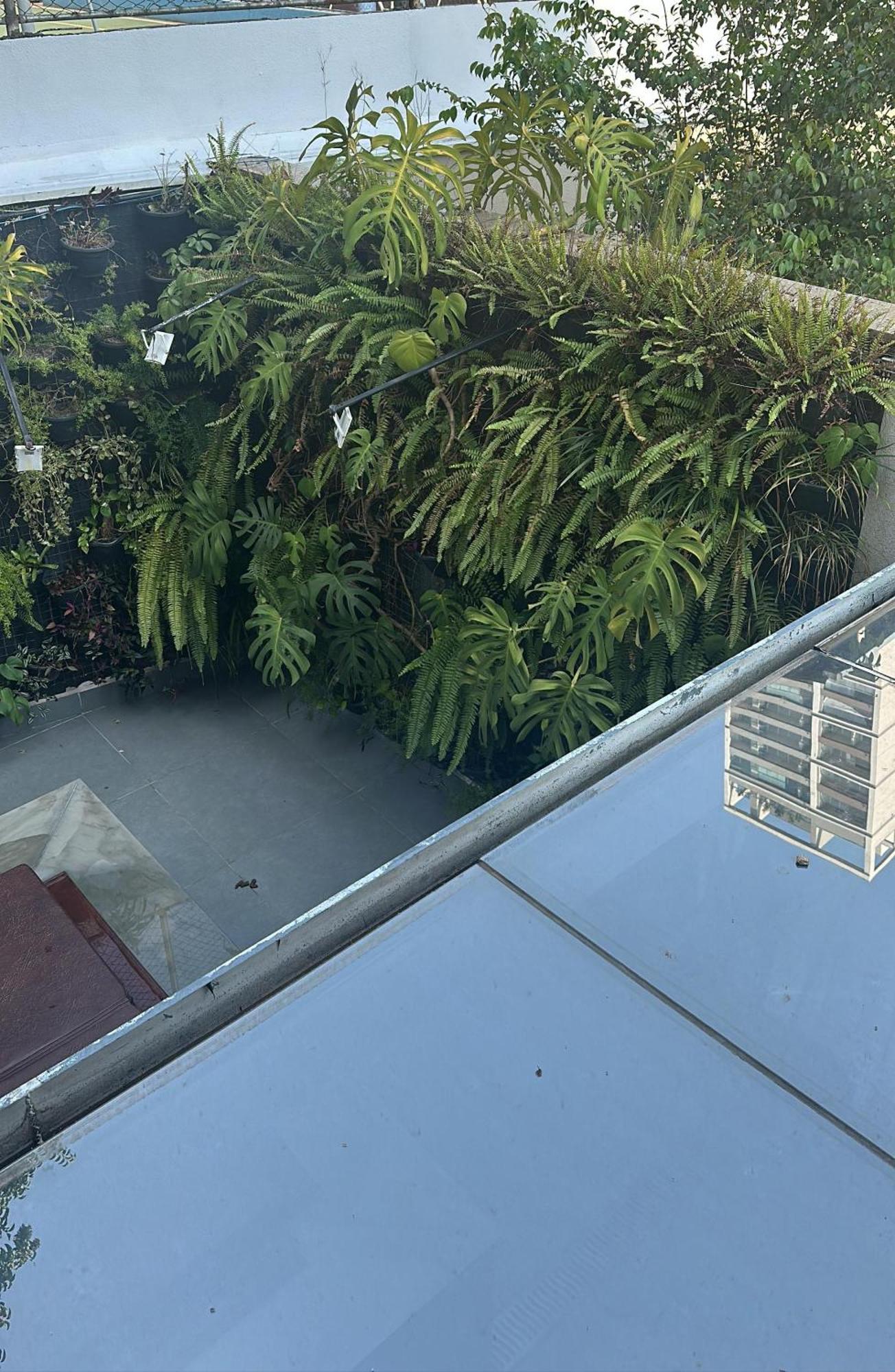 Allianz Parque , Perdizes São Paulo Exterior foto